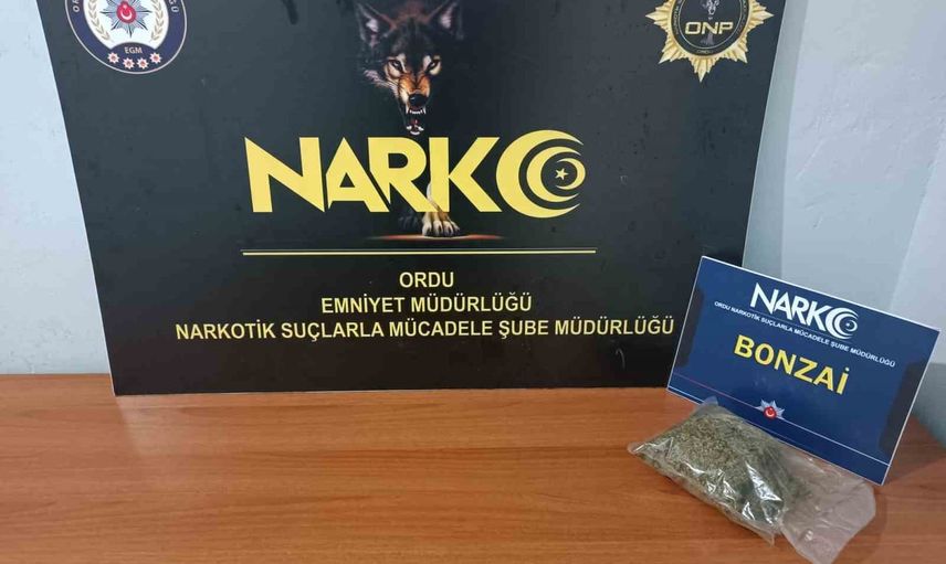 fatsa'da durdurulan araçta 49,55 gram sentetik uyuşturucu ele geçirildi, şüpheli tutuklandı