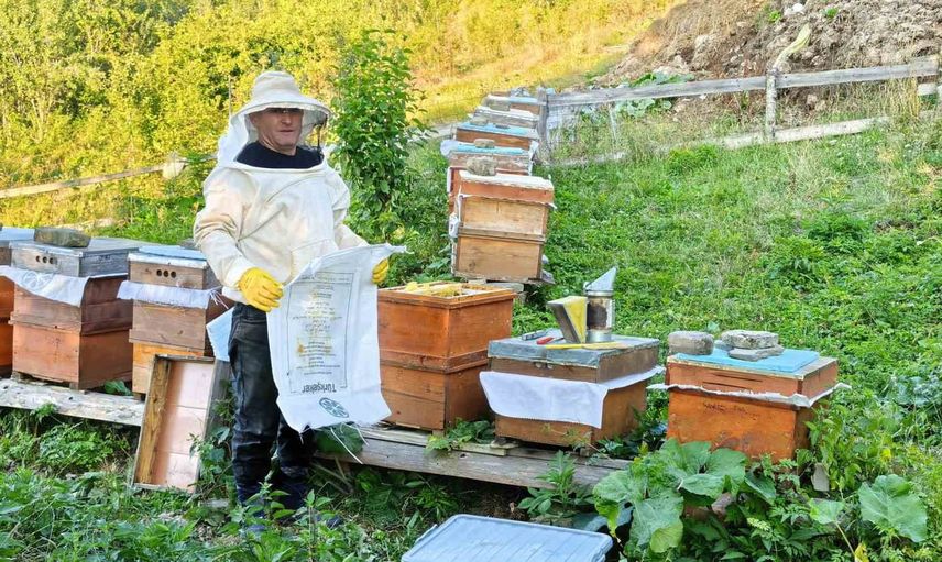 Hürremşah'tan sofraya doğal lezzet: köyün balı kent pazarına iniyor