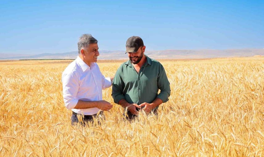 ETİ kanatlı buğdayı'nın ilk tohumluk hasadını tamamladı