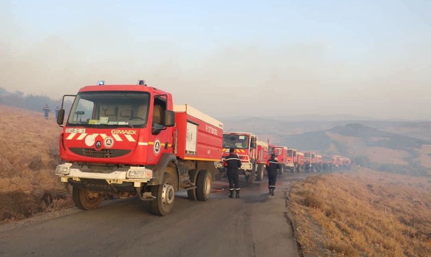 Cezayir'de alevler altı vilayete yayıldı, 72 yangın bildirildi