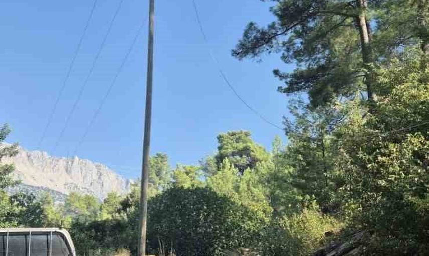 Enerji hattındaki kopma Beşkonak'ta orman yangınına dönüştü, ekipler kısa sürede müdahale etti