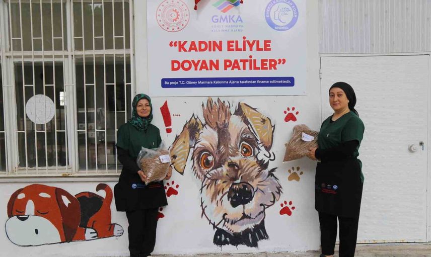 Kadın eliyle doyan patiler çevresel ve ekonomik dönüşüme örnek model