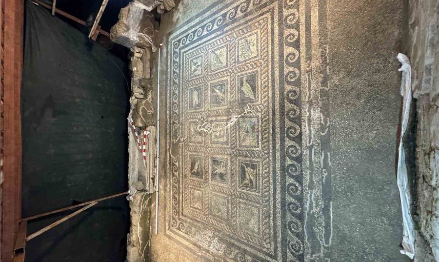 Adramytteion mozaikleri Roma villasının Doğu Akdeniz ve Nil bağlantılarını açığa çıkardı