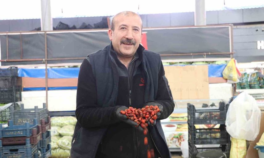 Dikenli dalların arasında kışa kuşburnu mesaisi