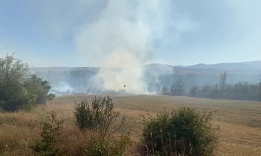 Korgun'da rüzgârla yayılan örtü yangını ağaçlık alanı tehdit etti
