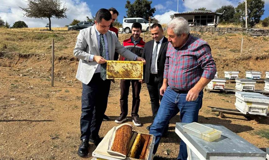 Mirası beş karakovanla sürdüren 85 yaşındaki arıcı
