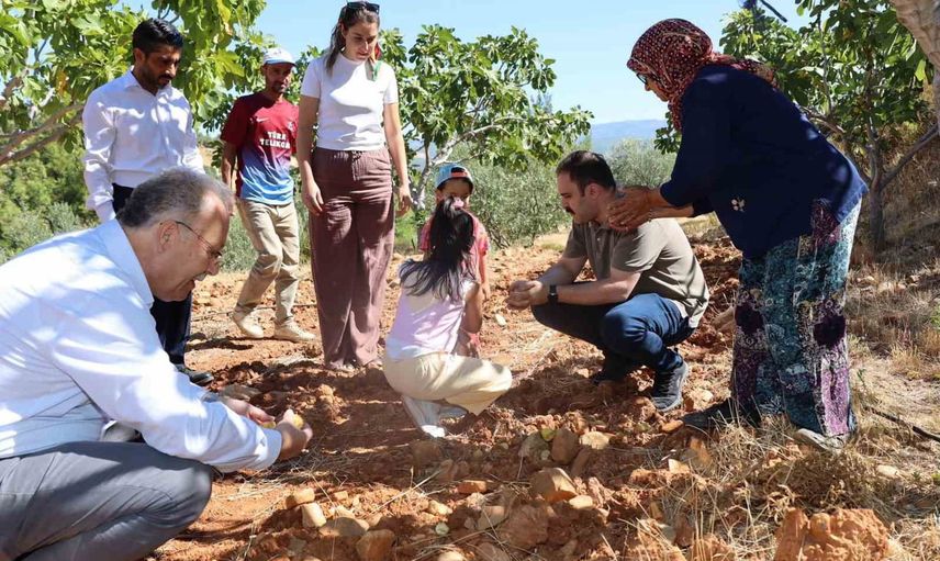 Kaymakam Battal incir hasadında üreticilerle sahada buluştu