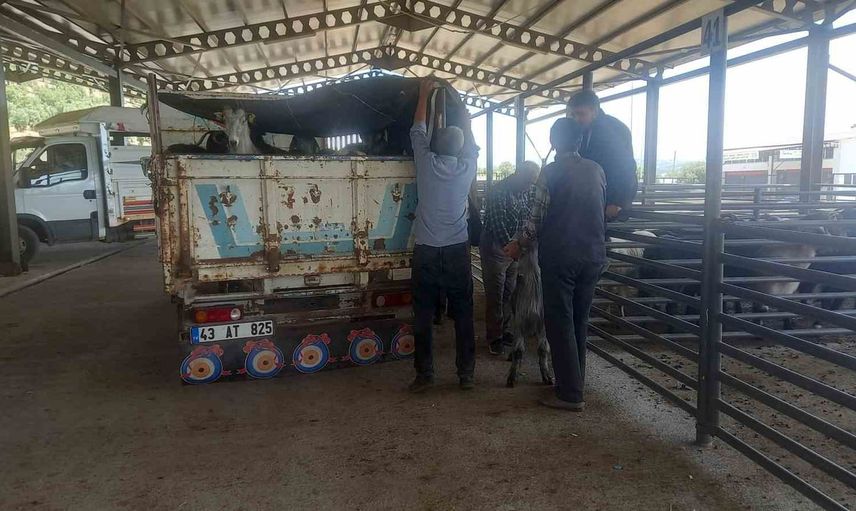 Gediz'te canlı hayvan pazarı hizmet gününü pazartesiye taşıdı