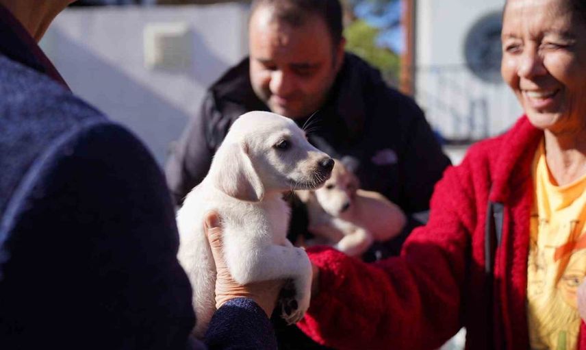 Ayvalık'ta can dostlara günlük sevgi değil, sürekli sorumluluk çağrısı