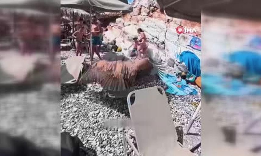 Sıcak dalga Girit'te akbabaları yerleşimlere indirdi