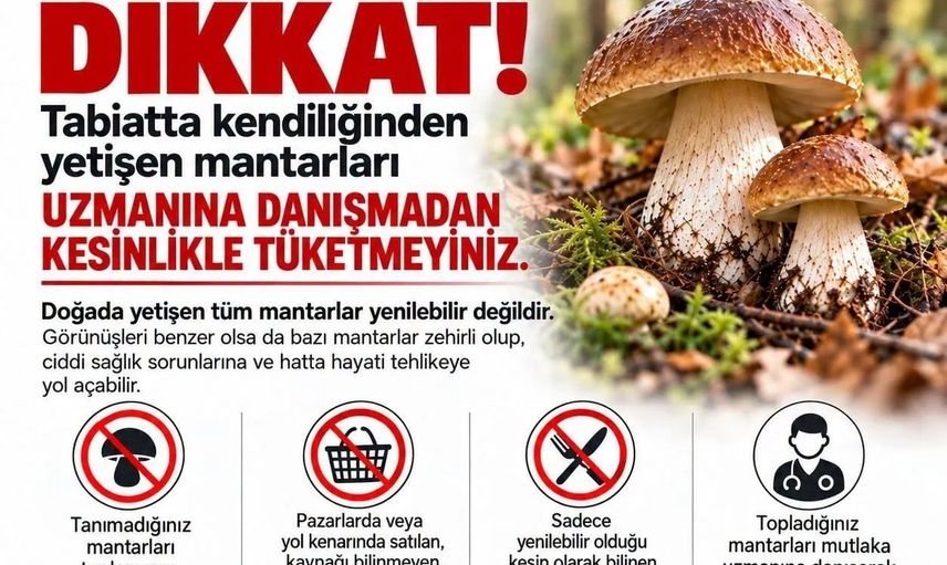 Sinop'ta doğadan mantar toplayanlara sağlık uyarısı