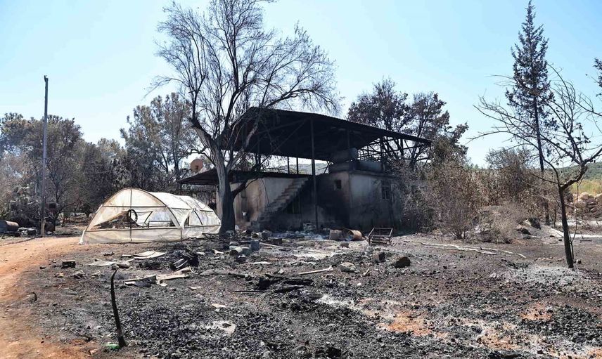 Kaş'ta orman yangını sonrası zarar gören alanlarda hasar tespiti