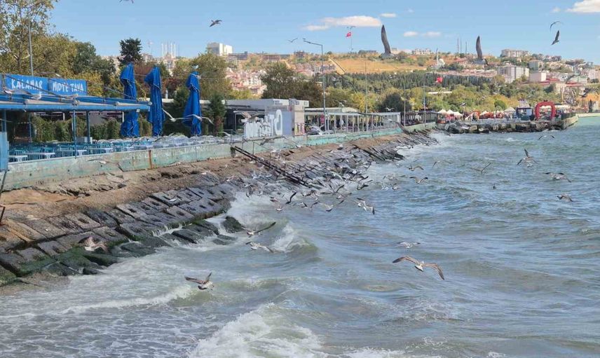 Marmara'da poyraz tekirdağlı balıkçıları limanda bekletiyor