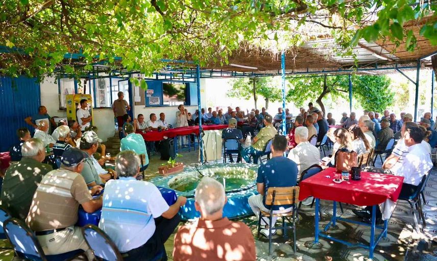 Didim'de zeytin üreticilerine yeni satış alanı müjdesi