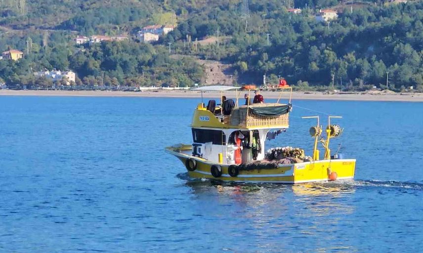 Cide'de palamut bolluğu tezgah fiyatlarını düşürdü