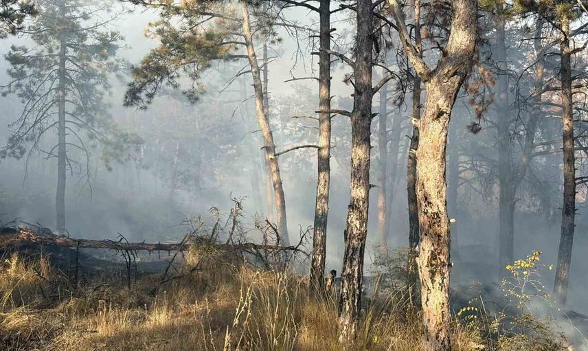Babaeski'de çöplükte başlayan yangın ağaçlık alanı tehdit etti