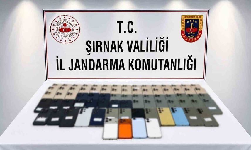 Şırnak'ta jandarma çok sayıda kaçak mal ele geçirdi, değeri 82 milyon lira