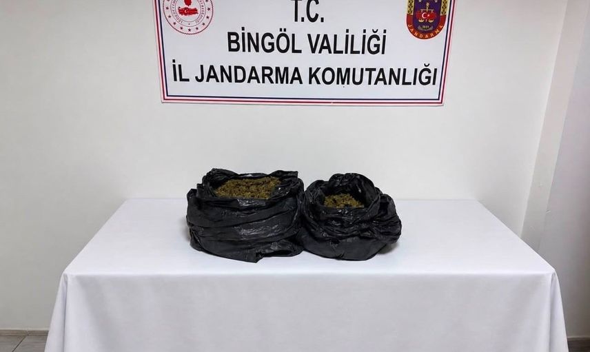 bingöl’de jandarma operasyonunda binlerce kenevir ve çok sayıda şüpheli yakalandı