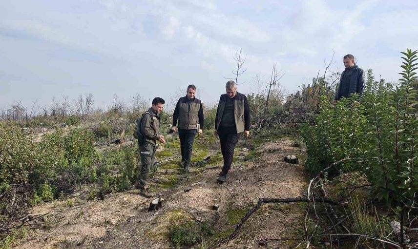 Yanan ormanlar için umut: Bilecik ve Osmaneli'de ağaçlar yeniden kök salıyor