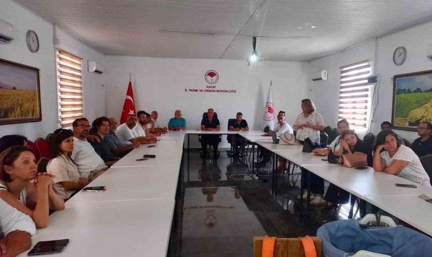 Hasatın incelikleri: Hatay'da turunçgillerde kalite ve kayıp önleme eğitimi