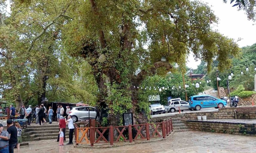 Samandağ’da dereden taşan su çay bahçesini vurdu