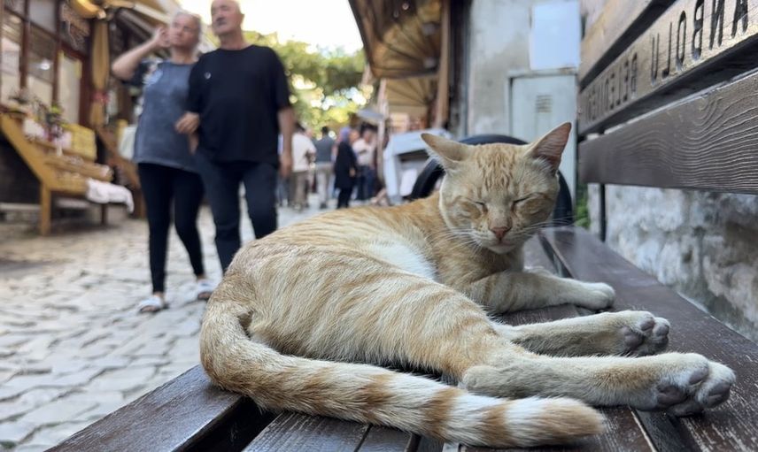 Safranbolu'da tarihle iç içe hafta sonu yoğunluğu