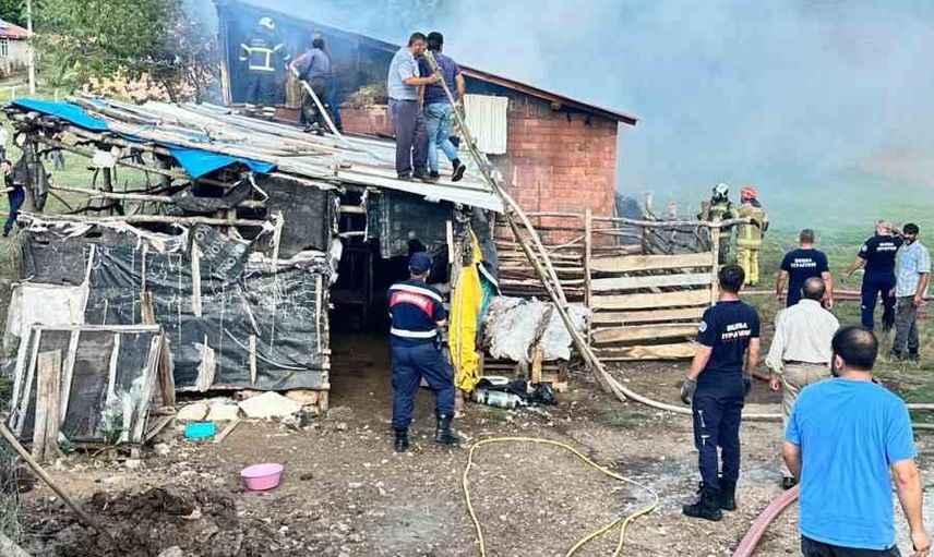 Hamitabat'ta samanlık alevlere teslim oldu, itfaiye müdahalesiyle söndürüldü