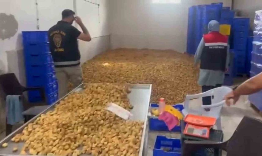 Köşk'te hijyen ve etiket denetiminde 25 ton kuru incir piyasadan toplandı