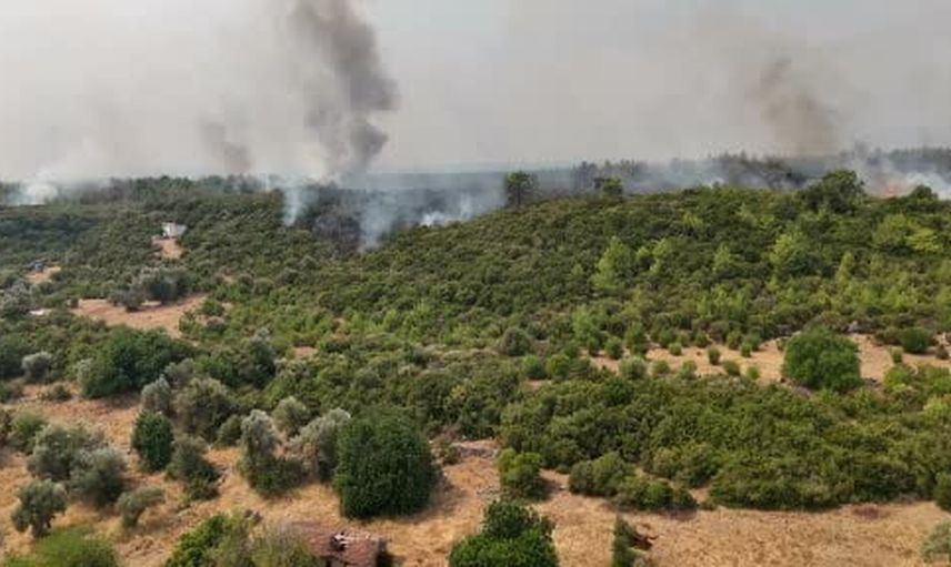 ağaçların gölgesinde endişe: Aksu yangını 21. saati geride bıraktı