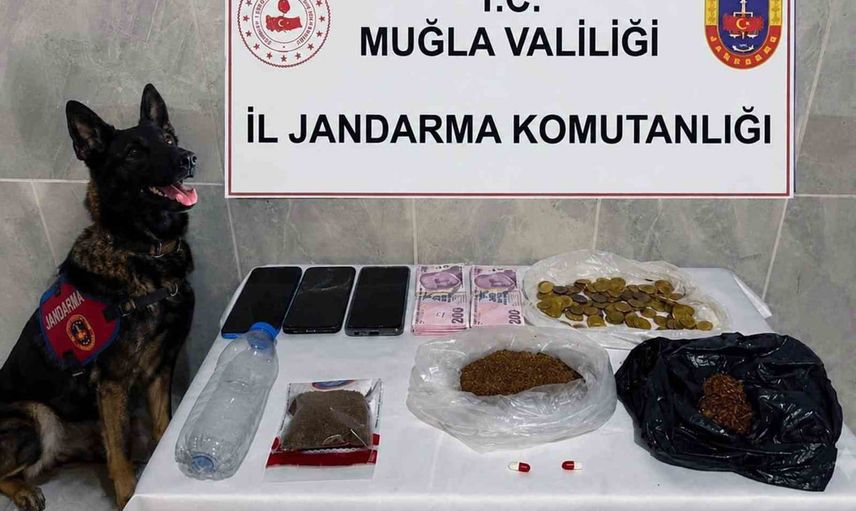 Muğla'da kaçakçılığa karşı temmuz ayında 24 operasyon