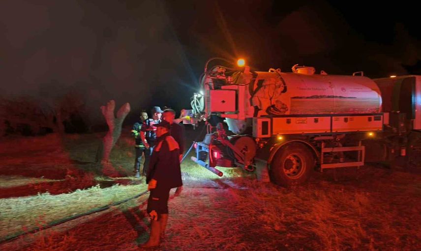 bademli köyünde besihanede yangın: 6 büyükbaş telef oldu