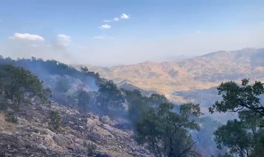 Siirt'te gün içinde beş yangın alarmı: Çamtaşı'nda söndürme çalışmaları devam ediyor