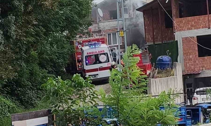 Ayvacık'ta geceyi karartan yangın: yalnız yaşayan kadın yaşamını yitirdi