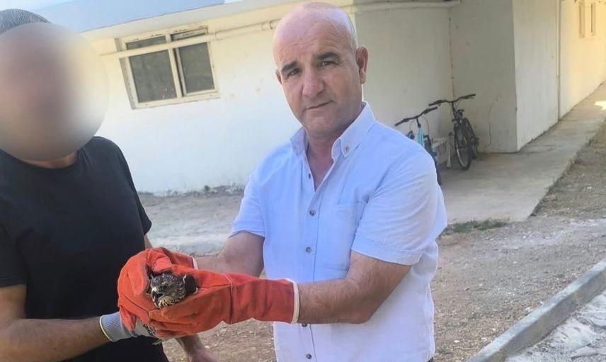 Adıyaman'da duyarlı müdahale: yavru ve yaralı yaban hayvanları koruma altına alındı