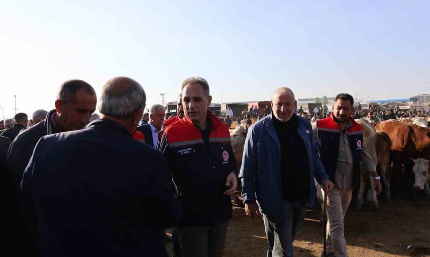 Kars hayvan pazarında hareketlilik sağlık filtrelerinden geçiyor