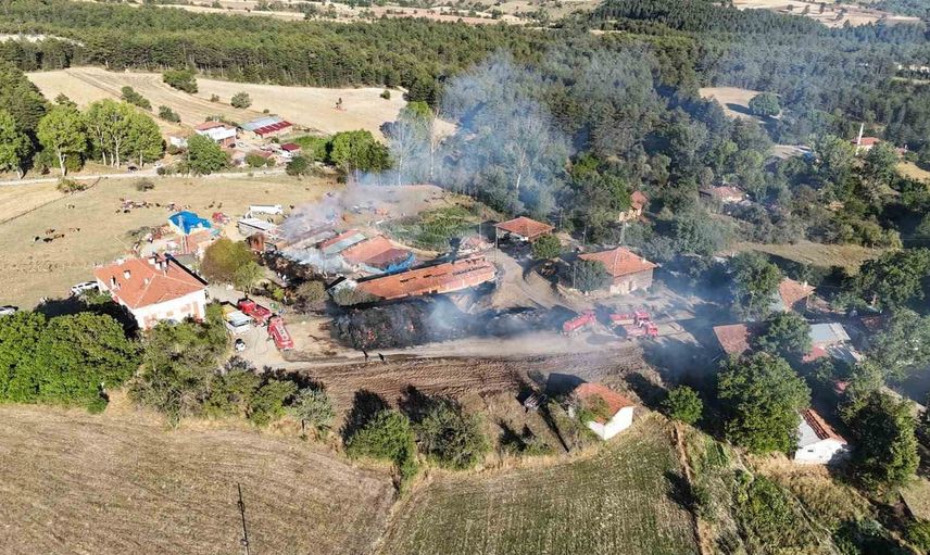 İhsangazi'de samanlık ve ahırlarda yangın: 14 büyükbaş telef oldu
