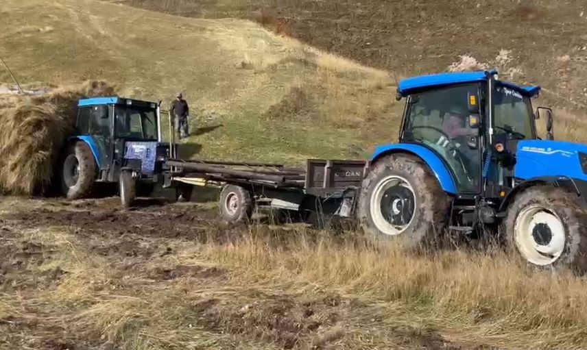 Ardahan köylerinde kış hazırlığı: otlar yazdan kışa taşınıyor