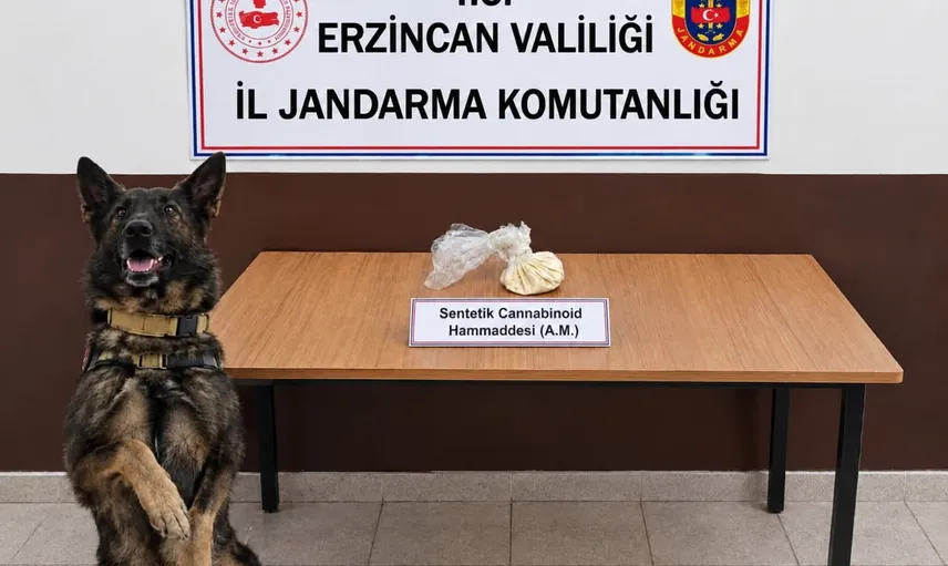 Jandarmadan Erzincan'da iki operasyon: skunk ve bonzai hammaddesi ele geçirildi