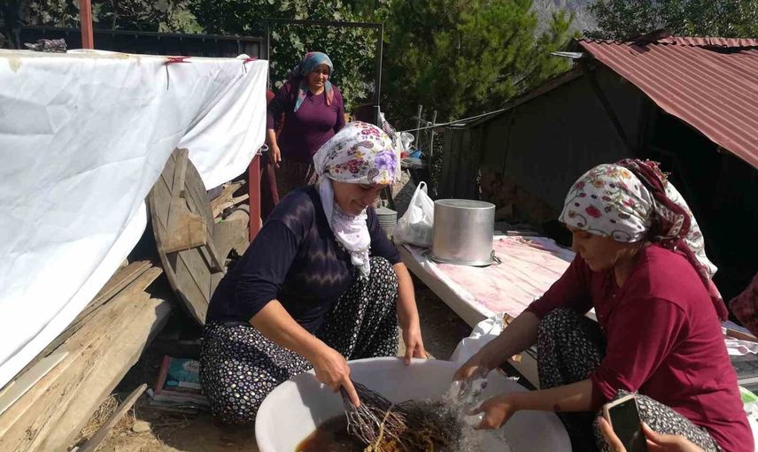 Kemaliye'de imece geleneği dutu pestile dönüştürüyor