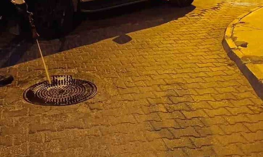 Didim'de yaz öncesi vektör mücadelesi: halk sağlığı önceliğimiz