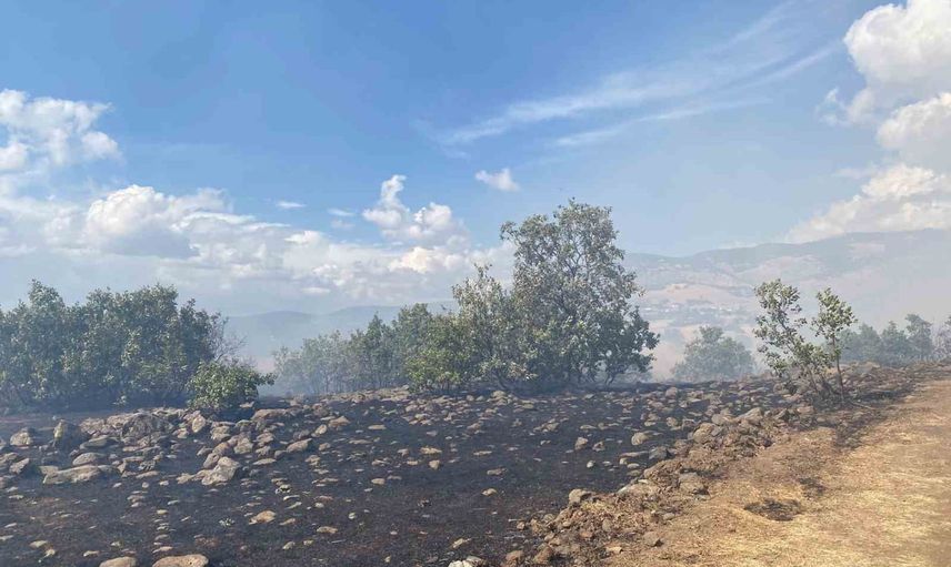 Karakoçan'da orman yangını hızlı müdahaleyle kontrol altına alındı