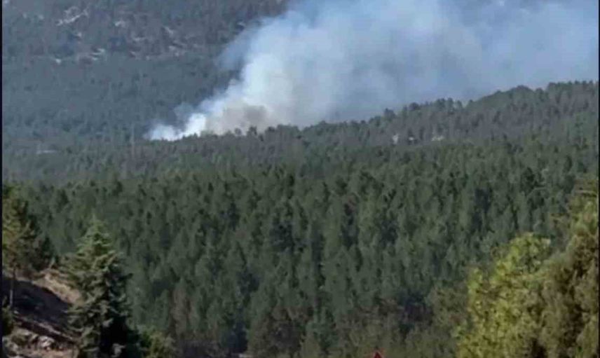 Menteşe'de Yılanlı Dağı Kurdu mevkiinde duman alarmı