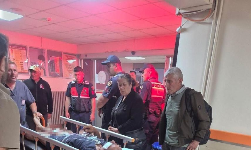 Sivas'ta sürü köpeklerinin müdahalesi çobanı ayıdan kurtardı