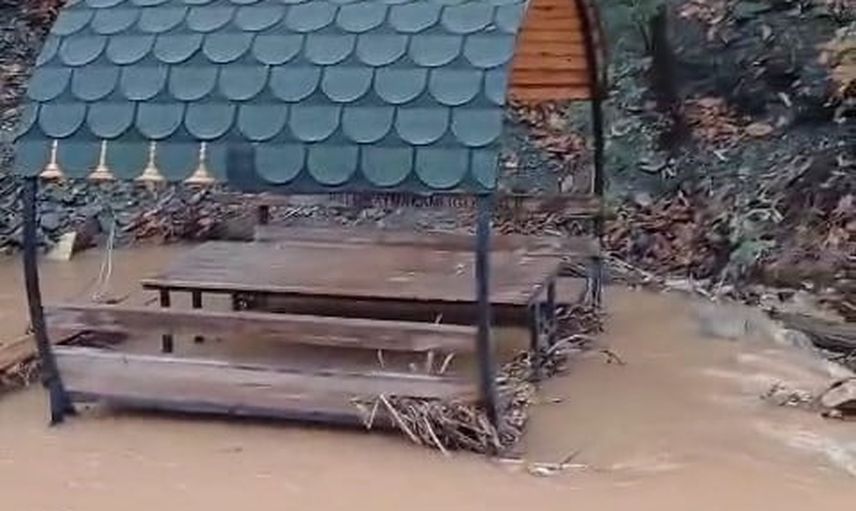 Palu’da yağışlar Teke deresini kabarttı, kıyıdaki kamelyalar zarar gördü