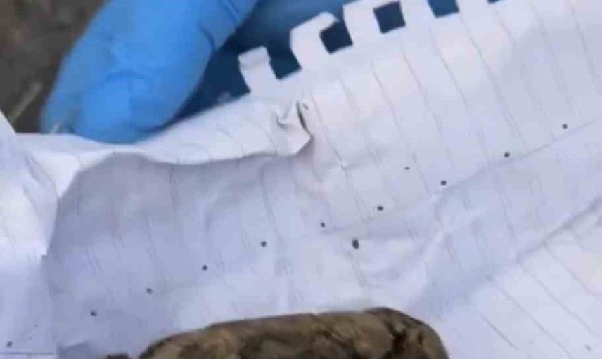 Bingöl’de narkotik operasyonu sonuç verdi: 76,12 gram skunk ve bir tutuklama