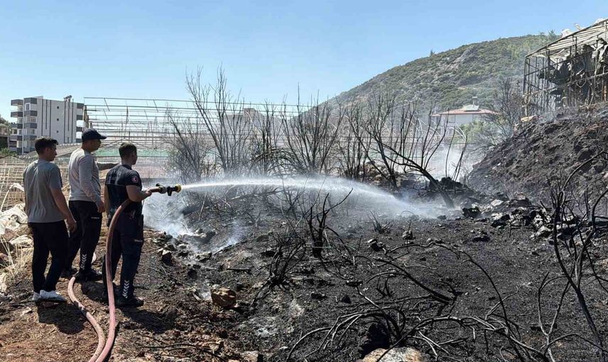 Pilotun anlık müdahalesi Gazipaşa'daki sera yangınının önünü kesti