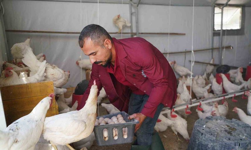 Belediye üretimiyle sofralara uygun fiyatlı temel gıdalar