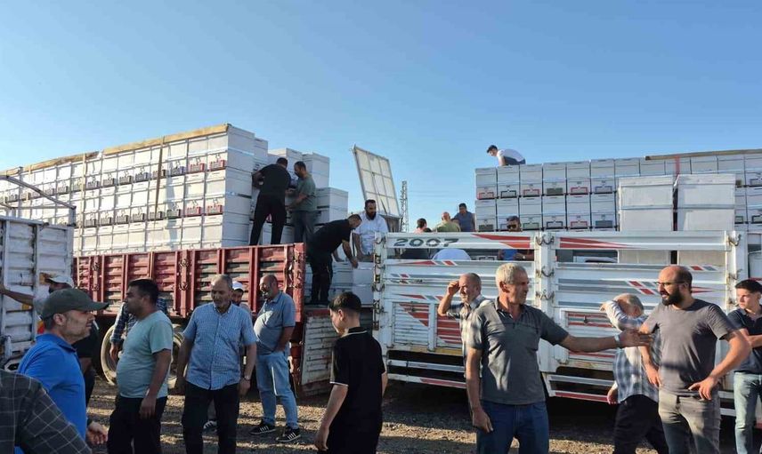 Yeni kovan desteğiyle Yozgat'ta bal üretiminde hedef büyüyor