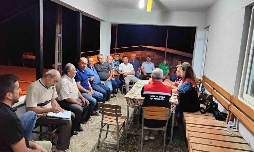 Aydın incirinde kalite ve marka değeri için sahada kapsamlı eğitim seferberliği