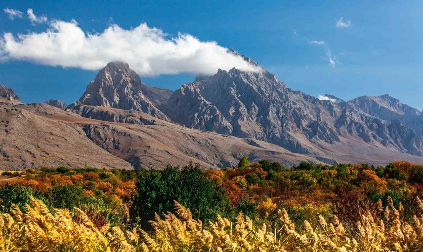Çamardı'da foto safari: doğanın ışığı kadraja düşecek